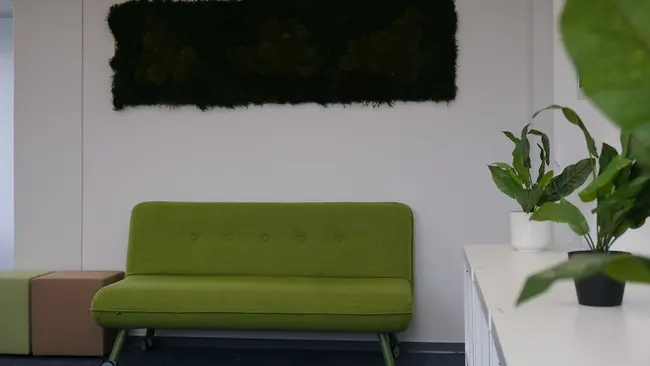 Ein grünes Sofa steht in einem modernen Raum. An der Wand hängt ein rechteckiges, moosartiges Wandbild. In der Ecke befindet sich ein Topf mit einer grünen Pflanze. Der Boden ist mit Teppich ausgelegt, und es gibt einen weißen Schreibtisch im Hintergrund.