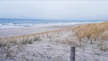 Ein ruhiger Strand mit feinem Sand erstreckt sich bis zum Horizont. An einem Rand wachsen strandtypische Pflanzen, während sanfte Wellen an die Küste schlagen. Der Himmel ist bewölkt und verleiht der Szene eine friedliche, gedämpfte Atmosphäre.