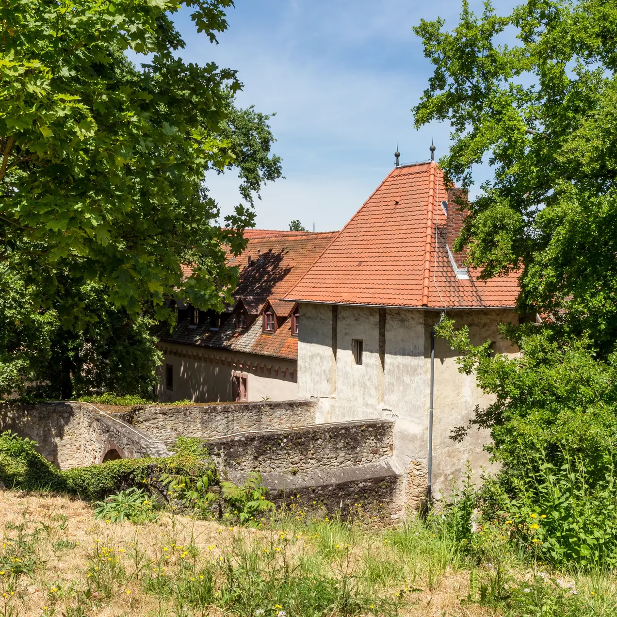 Festung Rüsselsheim