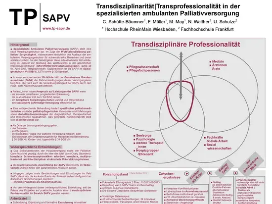 Transdisziplinäre Professionalität & Methodologisches Untersuchungsdesign