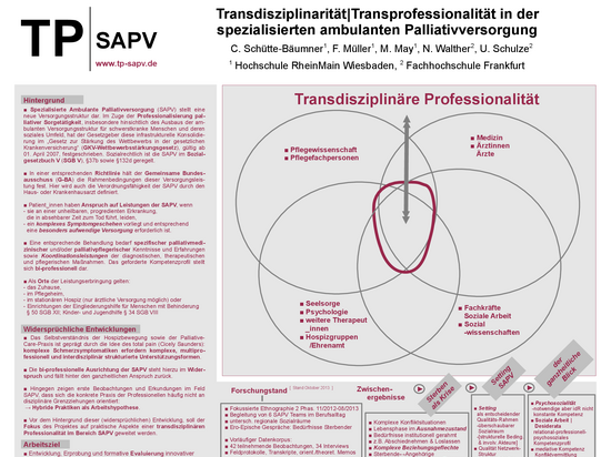 Transdisziplinäre Professionalität & Methodologisches Untersuchungsdesign Transdisziplinäre Professionalität & Methodologisches Untersuchungsdesign