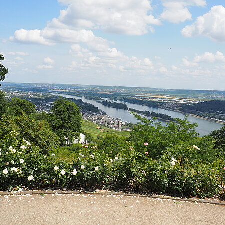 Rhein bei Rüdesheim