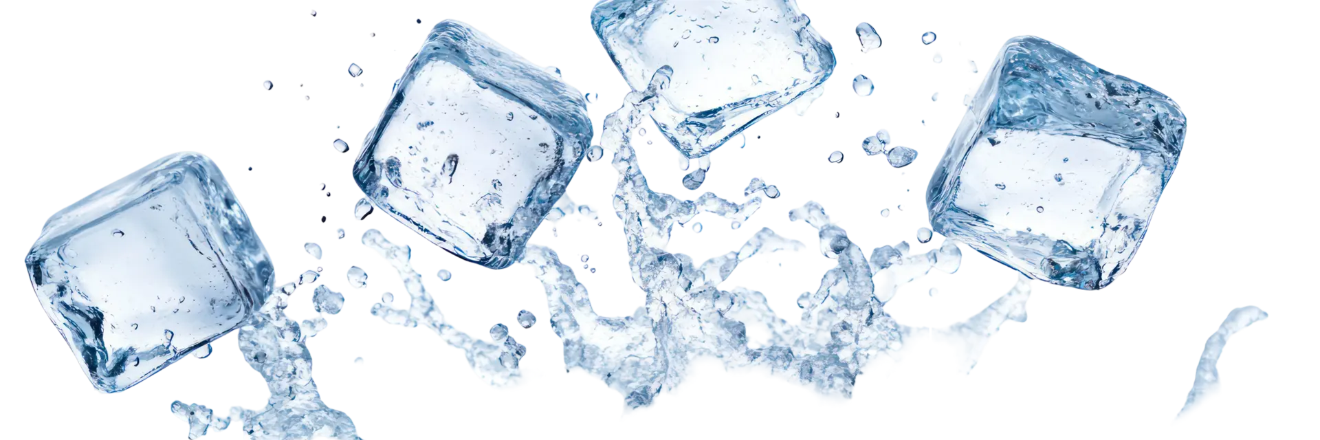 Vier Eiswürfel fallen in Wasser und spritzen. Die Eiswürfel sind klar und haben eine glatte Oberfläche, während das Wasser um sie herum aufgeworfen wird.