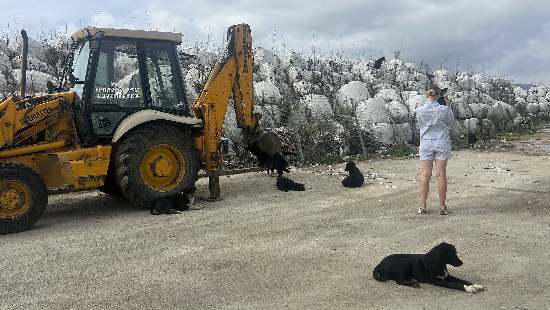 Szene mit ruhenden Hunden, gelbem Bagger und Zerina Kaps fotografierend