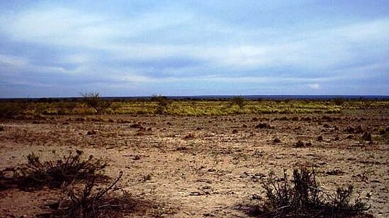 Eine weite, trockene Landschaft ist zu sehen, mit kleinen Büschen.