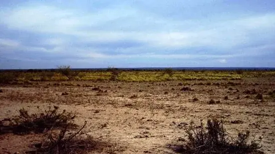 Eine weite, trockene Landschaft ist zu sehen, mit kleinen Büschen.