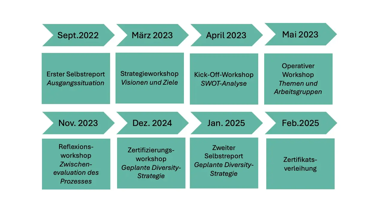 Timeline Diversity Audit Pfeildiagramm