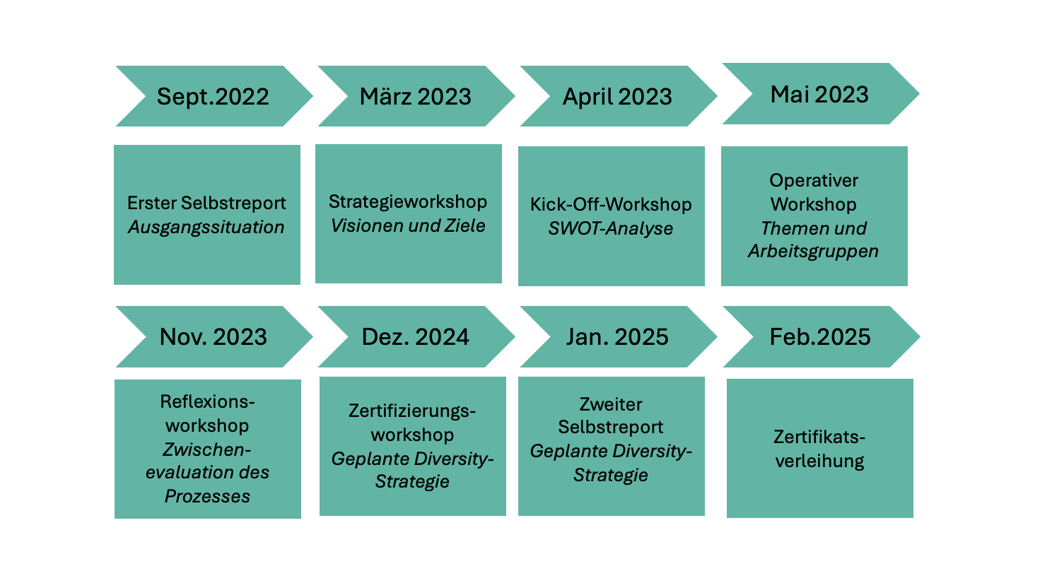 Timeline Diversity Audit Pfeildiagramm